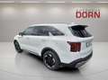 Kia Sorento Spirit 2024 2.2D AWD 7-Sitzer Glasdach D Blanc - thumbnail 2