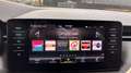 Skoda Kamiq 1.0 TSI Greentech 110pk Business Edition virtueel Gris - thumbnail 33