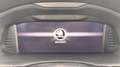 Skoda Kamiq 1.0 TSI Greentech 110pk Business Edition virtueel Gris - thumbnail 23