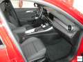 Alfa Romeo Tonale ALFA ROMEO  1.6 diesel 130 CV TCT6 TI Rosso - thumbnail 12