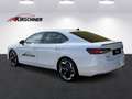 Skoda Superb 2,0 TSI Sportline 4x4 DSG Weiß - thumbnail 3