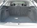 Audi Q5 40 TFSI quattro Navi PDC+ Business Blanc - thumbnail 6