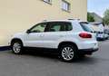 Volkswagen Tiguan Sport & Style 4Motion 2.0 TDI KAM AHK PDC Blanc - thumbnail 5