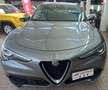 Alfa Romeo Stelvio 2.2 Turbodiesel 190 CV AT8 Q4 Business Grigio - thumbnail 1