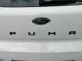 Ford Puma 1.0 Hybrid 125pk  ST-LINE X, Navi, Clima, Virtual Wit - thumbnail 38