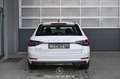 Skoda Superb 2.0 TDI Style DSG  Pickerl NEU Weiß - thumbnail 4