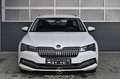 Skoda Superb 2.0 TDI Style DSG  Pickerl NEU Weiß - thumbnail 3