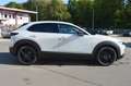 Mazda CX-30 e-SKYACTIVE G 140 NAGISA *2025* Bianco - thumbnail 6