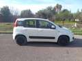 Fiat Panda 0.9 TWINAIR LOUNGE EU6 Blanc - thumbnail 4