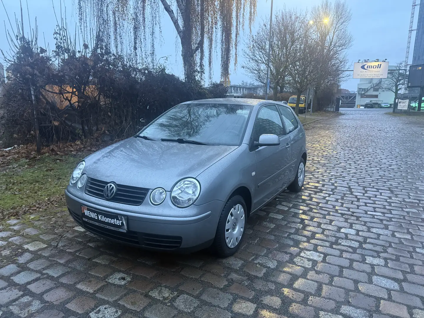 Volkswagen Polo Cricket Grau - 2