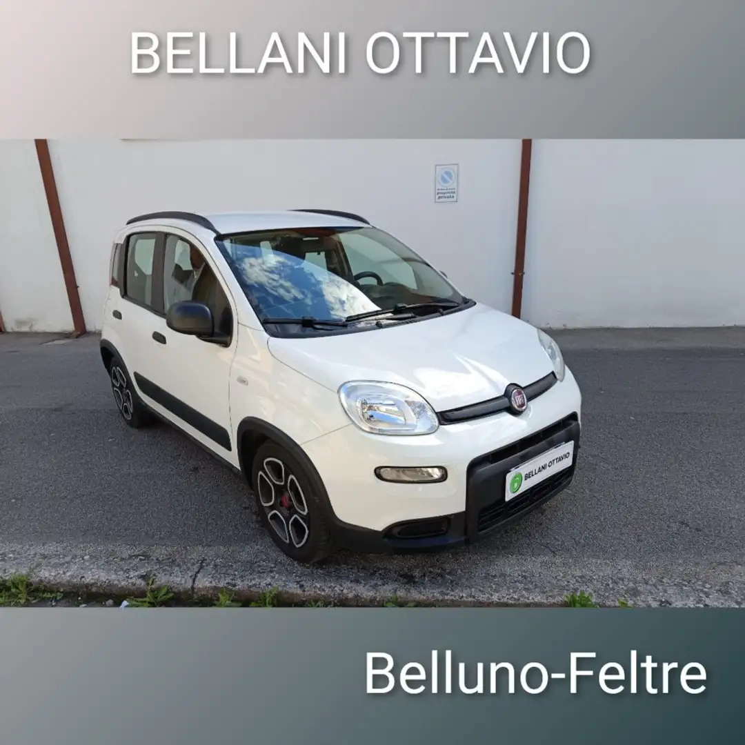 Fiat Panda 1.0 FireFly S&S Hybrid City Life Blanc - 1