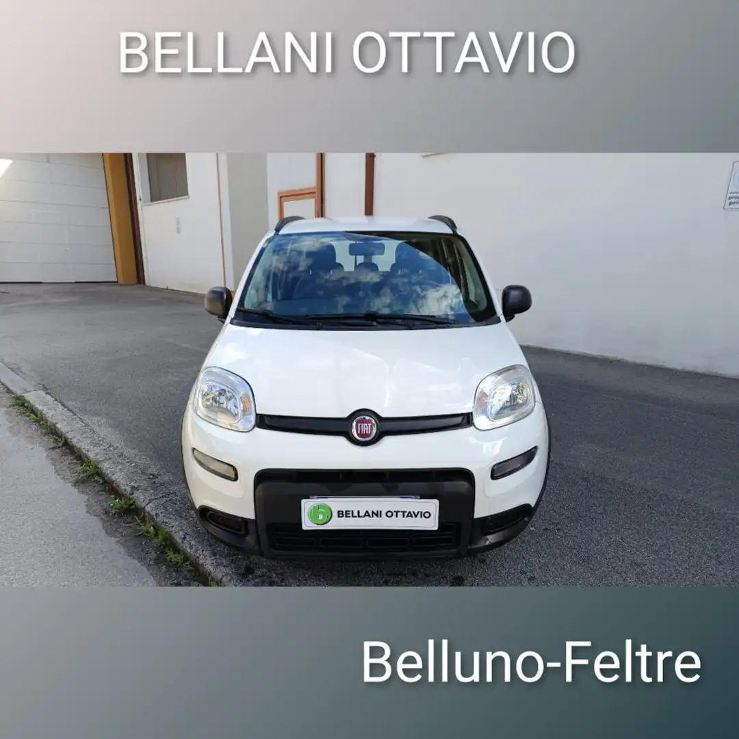 Fiat Panda 1.0 FireFly S&S Hybrid City Life Blanc - 2