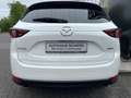Mazda CX-5 Kangei 360 Kamera HUD Apple CarPlay Temp Klimaauto Weiß - thumbnail 4