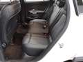 Mercedes-Benz GLA 220 d Progressive Navi LED MBUX+ Sound AHK Weiß - thumbnail 13