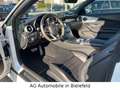 Mercedes-Benz C 250 Night Edition "AMG-Line"Keyless Go" Weiß - thumbnail 12