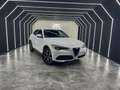 Alfa Romeo Stelvio 2.2 t Super Q4 210cv auto my19 Bianco - thumbnail 2