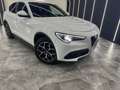 Alfa Romeo Stelvio 2.2 t Super Q4 210cv auto my19 Bianco - thumbnail 5