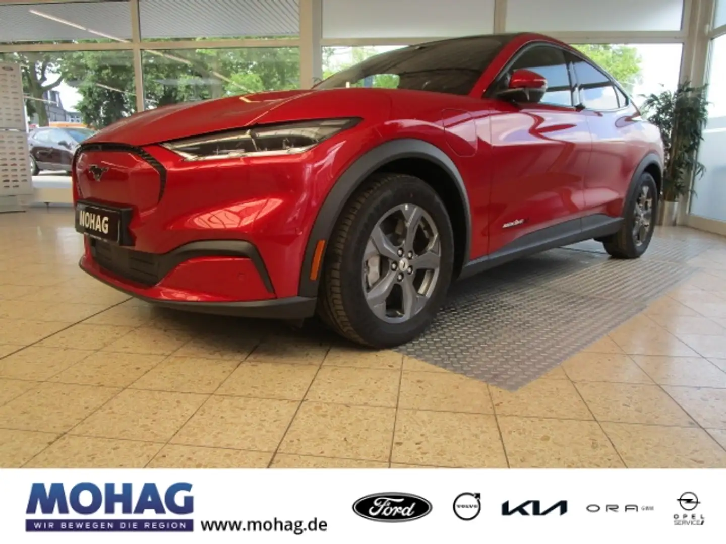 Ford Mustang Mach-E Basis NAVI, DAB, 360°-KAMERA Rot - 1