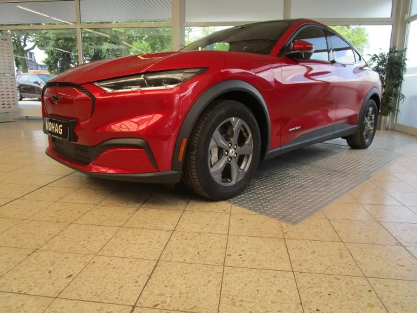 Ford Mustang Mach-E Basis NAVI, DAB, 360°-KAMERA Rot - 1