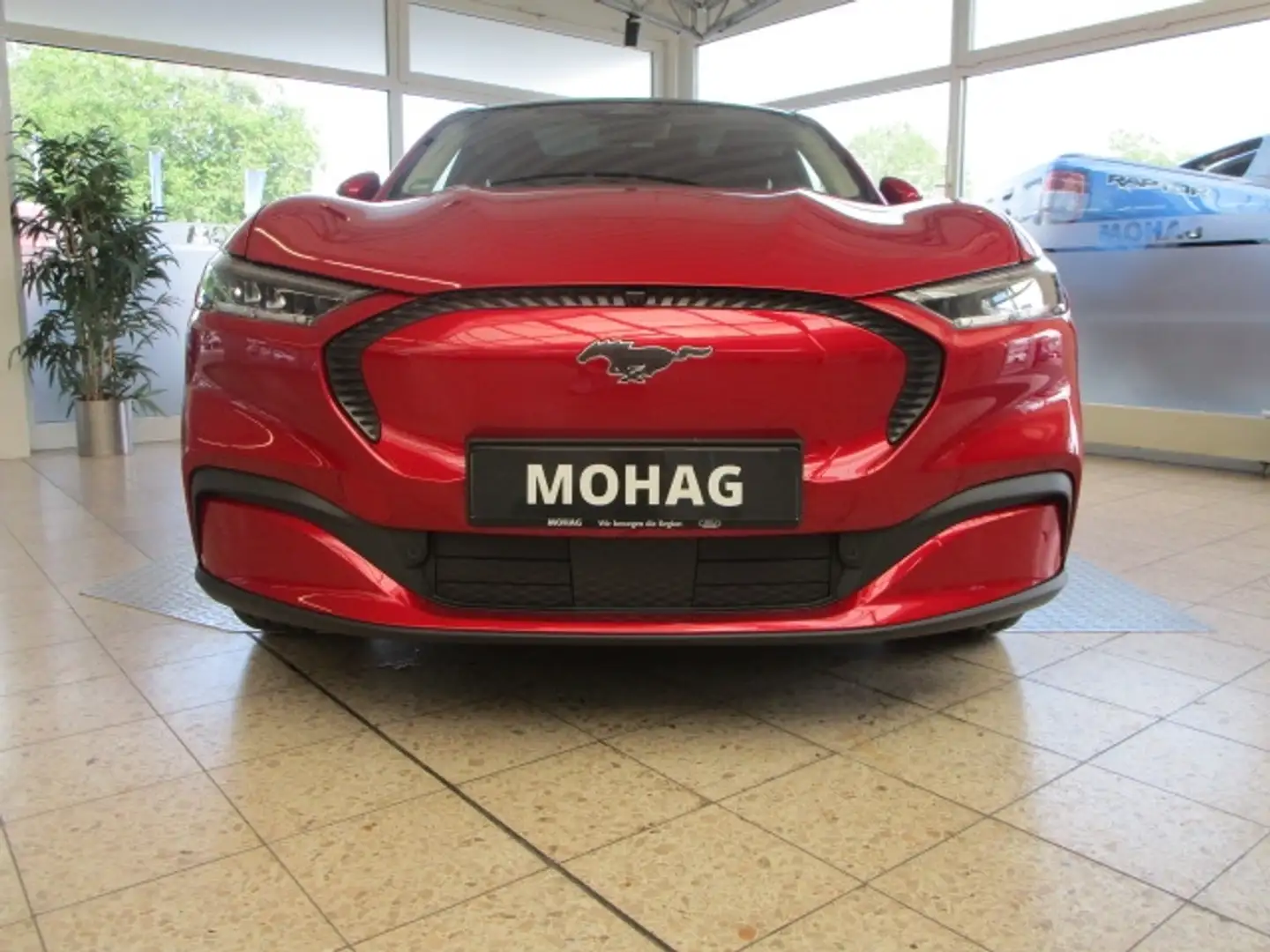 Ford Mustang Mach-E Basis NAVI, DAB, 360°-KAMERA Rot - 2