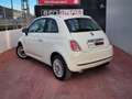Fiat 500 1.3Mjt Pop Blanc - thumbnail 4