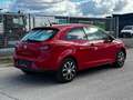 SEAT Ibiza SportCoupé 1,2 Rot - thumbnail 4