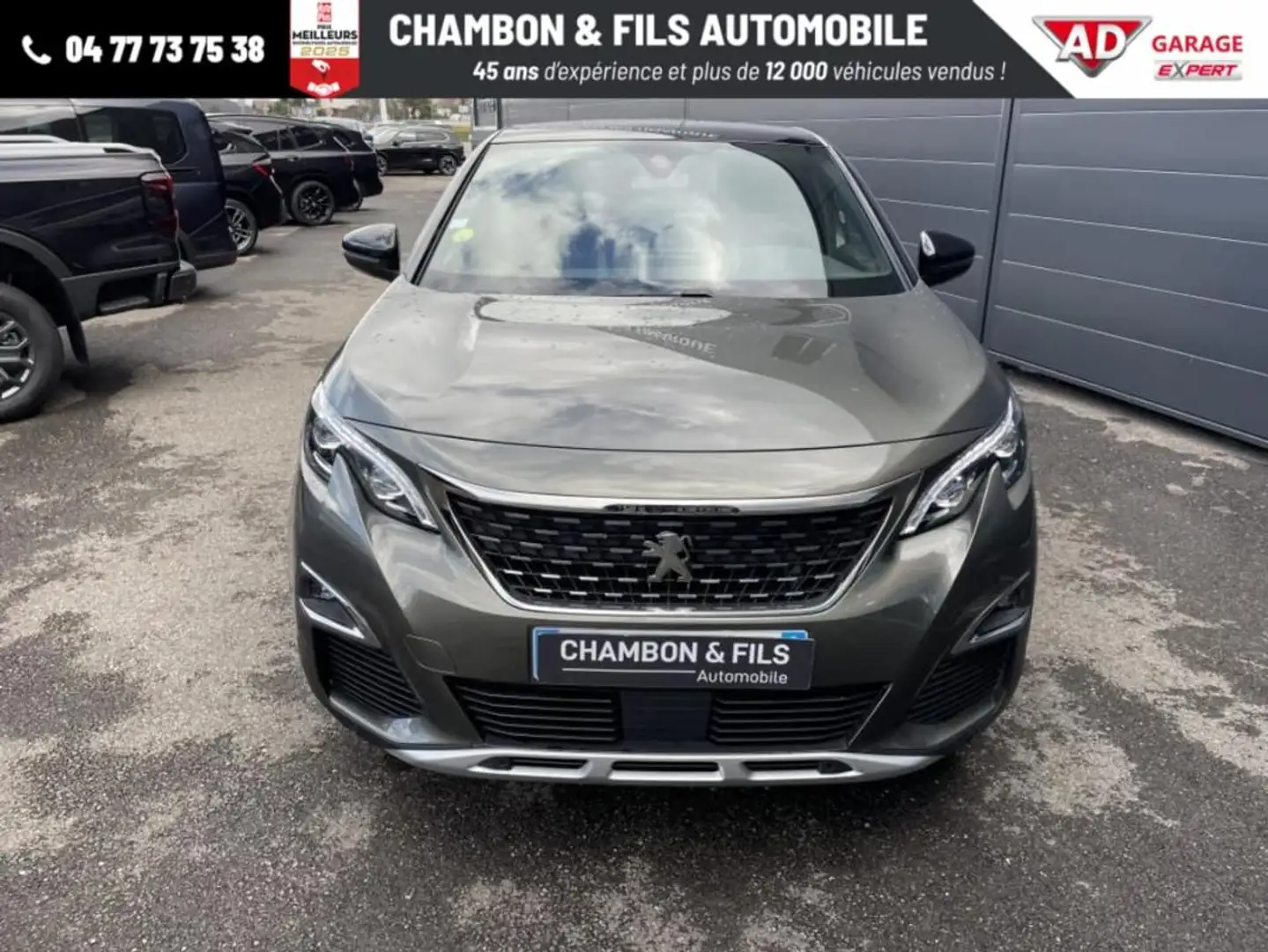 Peugeot 3008 BlueHDi 130ch S&S BVM6 GT Line Gris - 2