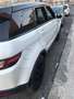 Land Rover Range Rover Evoque 5p 2.0 diesel SE  150cv - thumbnail 2