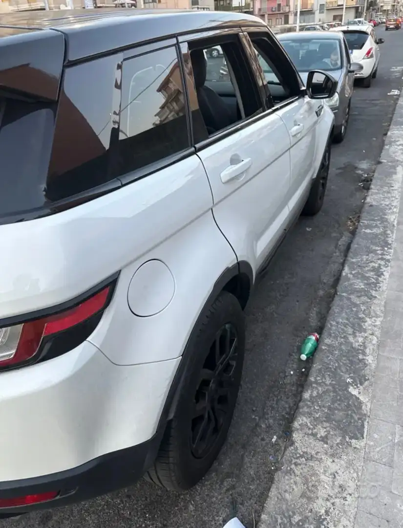Land Rover Range Rover Evoque 5p 2.0 diesel SE 150cv - 2