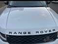 Land Rover Range Rover Evoque 5p 2.0 diesel SE  150cv - thumbnail 1
