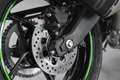 Kawasaki Ninja ZX-4RR Performance, 1.Hand, unfallfrei Grün - thumbnail 18