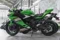Kawasaki Ninja ZX-4RR Performance, 1.Hand, unfallfrei Zöld - thumbnail 4