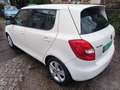 Skoda Fabia Greenline Weiß - thumbnail 4