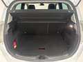 Ford B-Max B-MAX Trend N 1,5 TDCi Start/Stop*SHZ*PDC* Weiß - thumbnail 19