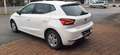 SEAT Ibiza 1,0 ECO TSI Xcellence Weiß - thumbnail 4