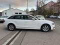 Audi A4 2,0 TDI Avant Attraction Tüvneu 2hand Sitzhz Wit - thumbnail 4