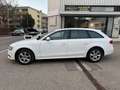 Audi A4 2,0 TDI Avant Attraction Tüvneu 2hand Sitzhz Wit - thumbnail 8