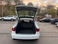 Audi A4 2,0 TDI Avant Attraction Tüvneu 2hand Sitzhz Wit - thumbnail 13