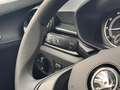 Skoda Fabia 1.0 MPI Easy LED+DAB+USB+SERVO 20TKM! Blau - thumbnail 9