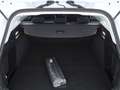 Ford Focus Turnier 1.5 EcoBlue Titanium Aut LED NAVI Weiß - thumbnail 23