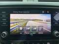 Skoda Octavia RS 4x4 TDI DSG | MwSt. AUSWEISBAR | Top Zustand! Grau - thumbnail 40
