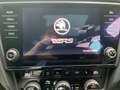 Skoda Octavia RS 4x4 TDI DSG | MwSt. AUSWEISBAR | Top Zustand! Grau - thumbnail 39