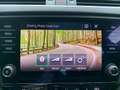 Skoda Octavia RS 4x4 TDI DSG | MwSt. AUSWEISBAR | Top Zustand! Grau - thumbnail 42