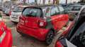 smart forFour 1.0cc 71cv CRUISE CONTROL CERCHI IN LEGA Rosso - thumbnail 3