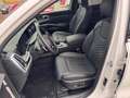 Kia Sorento 2.2 CRDi DCT8 AWD Platinum Weiß - thumbnail 6