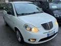 Lancia Ypsilon Ypsilon - km 55.240 Weiß - thumbnail 3