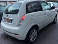 Lancia Ypsilon Ypsilon - km 55.240 Weiß - thumbnail 4