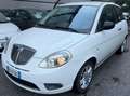 Lancia Ypsilon Ypsilon - km 55.240 Weiß - thumbnail 1