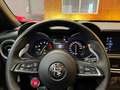 Alfa Romeo Stelvio Stelvio 2020 2.9 V6 Quadrifoglio Q4 510cv FULL OPT Groen - thumbnail 16
