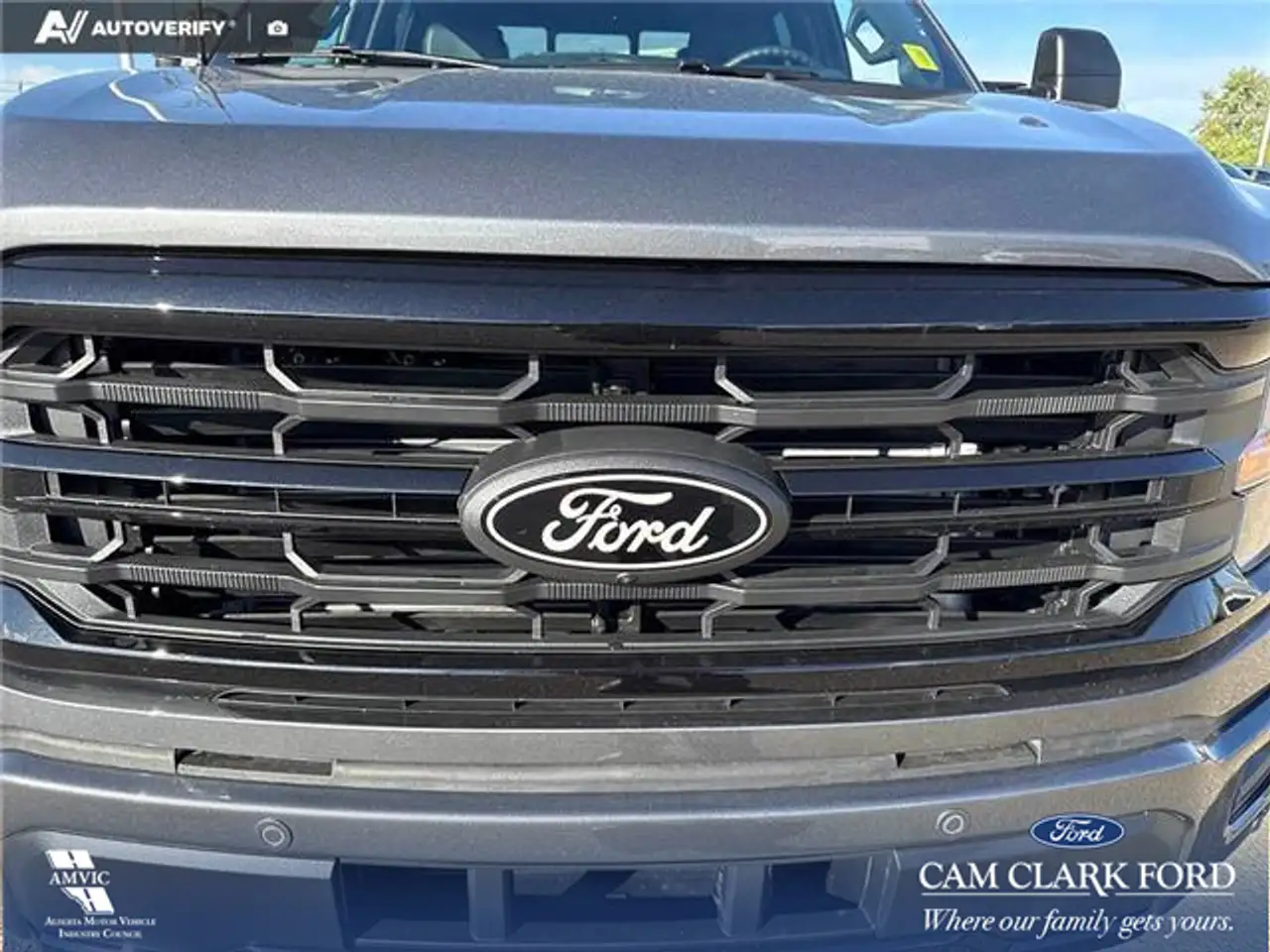 Ford F 150 fotografie Ford F 150